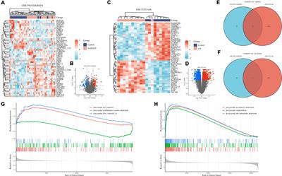 Cromolyn prevents cerebral vasospasm and dementia by targeting WDR43